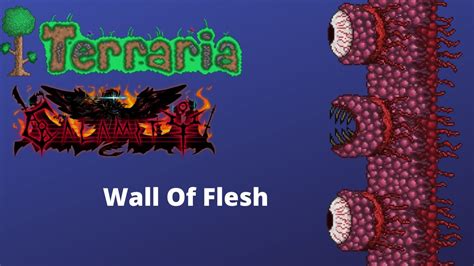 The Stinger Necklace is a good way to bypass some of the defense of the Wall of Flesh. . Calamity wall of flesh
